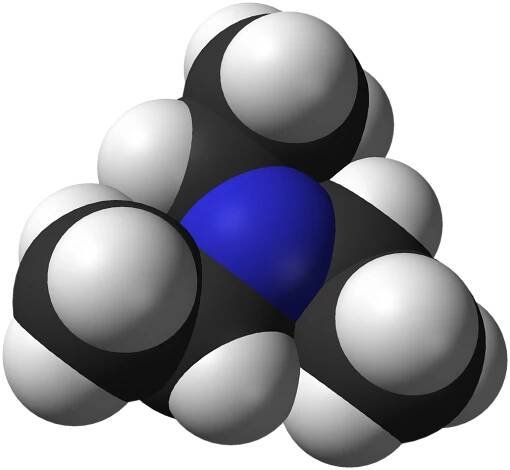 Soubor:Triethylamine-3D-vdW.png – Wikipedie