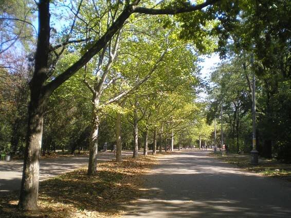 Shevchenko Park (Odesa)