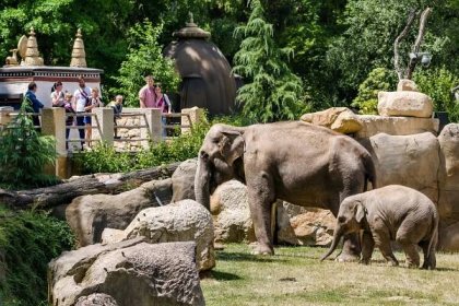 Zoo Praha na světové špičce