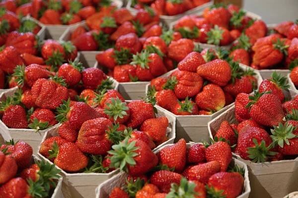 Stříbro ve Farmě roku 2022 - Farma Vraňany Hanč 