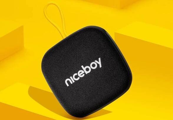 Přenosný reproduktor Niceboy RAZE Mini 4