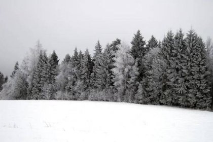Zimní stromy — Stock obrázek
