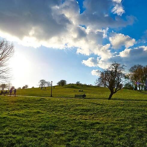 Primrose Hill restaurants