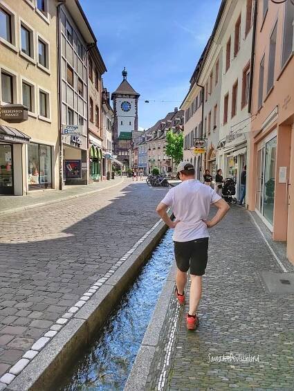 เที่ยว Freiburg im Breisgau เมืองมหาวิทยาลัยในป่าดำ - SawadeeDeutschland