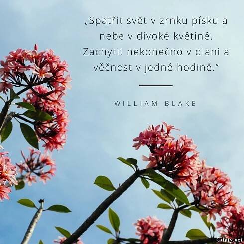 Spatřit svět v zrnku písku a nebe v divoké květině....