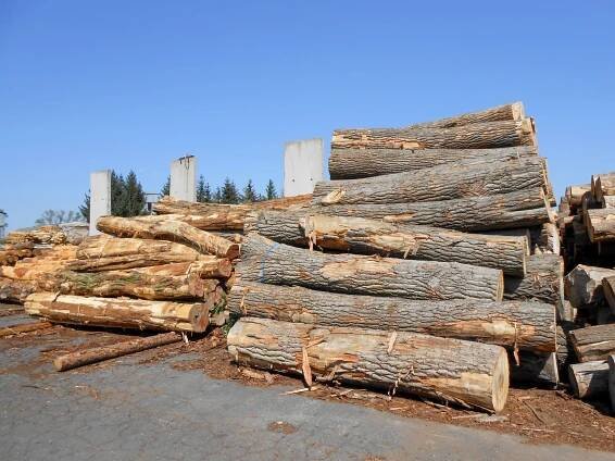 Nákup a prodej řeziva, dřevěných materiálů a paliva - Bohdaneč, Kutná Hora | Dřevařské centrum