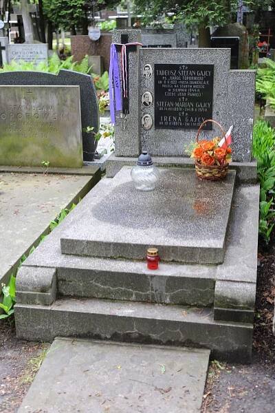 Soubor:Tadeusz Gajcy Grave.jpg