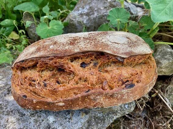 Cashew-Cranberry-Brot