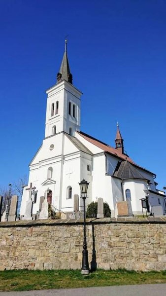 Lesopark pod kostelem na Borové - Po medvědích tlapkách