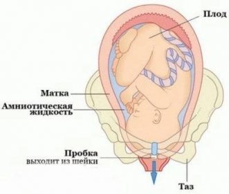 Délka cervikálního kanálu během těhotenství, polyp na děložním hrdle: délka týdne po týdnu, expanze a uzavření
