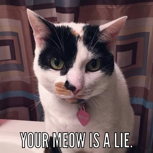 Your Meow is a Lie