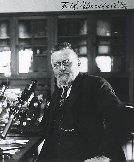 František Studnička