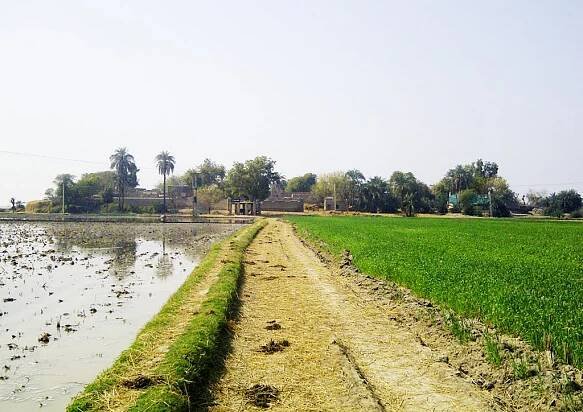 Village Hamza Chacha Kamber shahdadkot