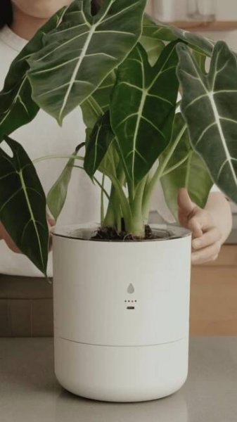 LeafyPod smart planter