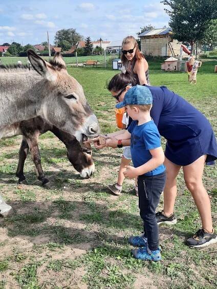 Skřítkova lesní školka - Základní škola logopedická a Mateřská škola logopedická Choustníkovo Hradiště