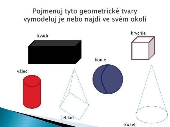 PPT - DRUHY TĚLES PowerPoint Presentation, free download - ID:3713551
