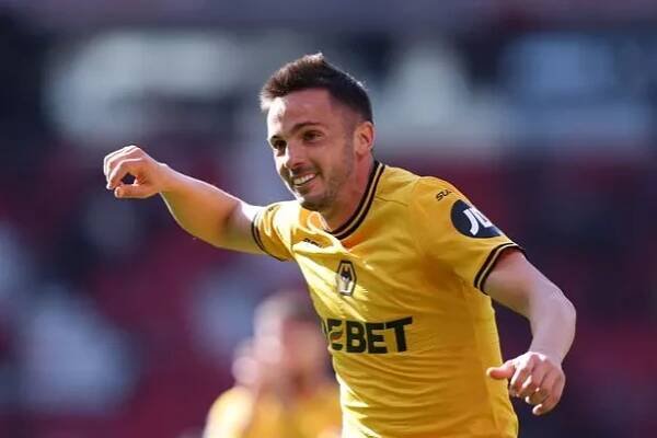 Wolverhampton Wanderers - latest WWFC news, transfers, match reports, live coverage and fixtures - BirminghamLive