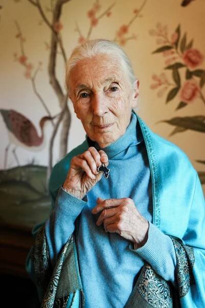 Zemřela slavná bioložka Jane Goodallová. Zasvětila život studiu chování šimpanzů