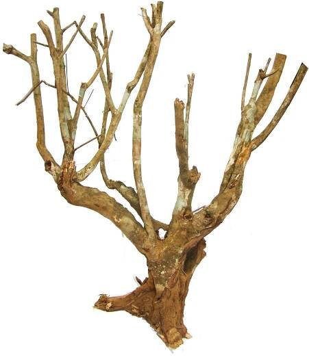 Lucky Reptile Savannah Bush 70 cm