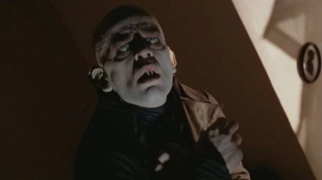 Klaus Kinski byl německý herec a příležitostný režisér. Jeho démonická tvář a nevyzpytatelná povaha neměly v kinematografii obdoby.