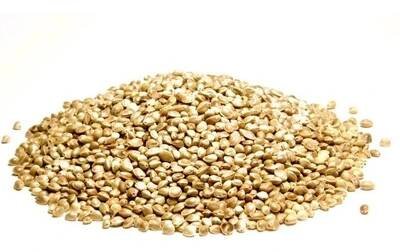 Bylík konopné semínko neloupané 300 g od 67 Kč - Heureka.cz