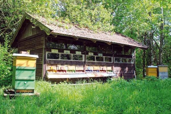 Von den Obstweiden: Honig, Saft, Schnaps - Herrmannsdorfer