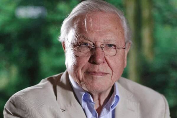 David Attenborough says sending food to famine-ridden countries is