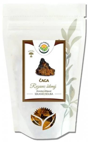 Salvia Paradise Čaga - Chaga - Rezavec šikmý 50 g - Dar Bylin