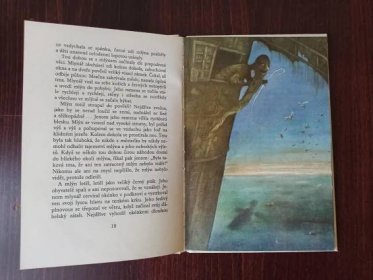 Začarovaný mlýn -Alina Afanasjew - Knihy