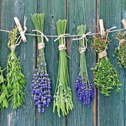 11 Reasons to Start a Herb Garden - dried herbs hanging on a string 