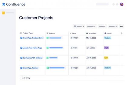 Orderly Databases for Confluence database view