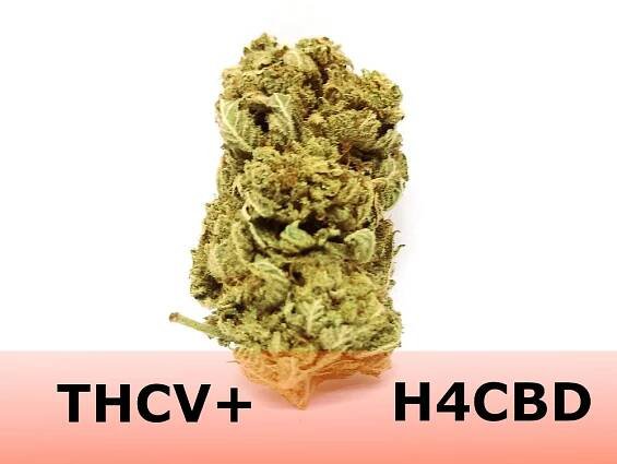 THCV květ konopí Lemon haze