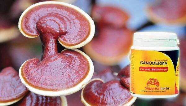 Natureprodukt.cz foto 2