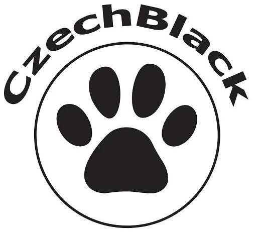 USDDN Dogfrisbee European Championship 2024 – 2024 official web page for the dogfrisbee EC hosted by DiscDog Club Czech