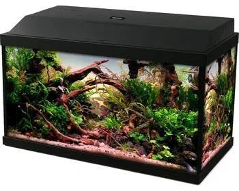Akvárium INVITAL LED akvarijní set 40 litrů s vnitřním filtrem a topítkem
