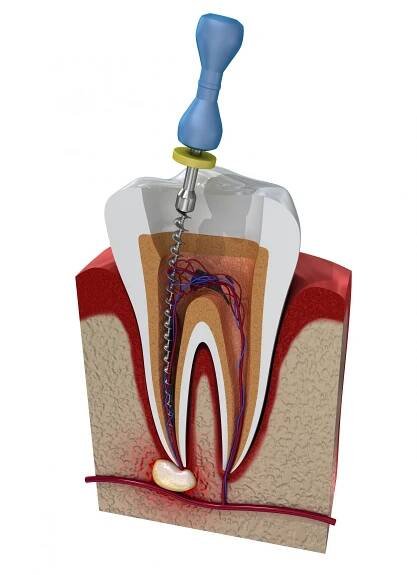 Gloss Dental