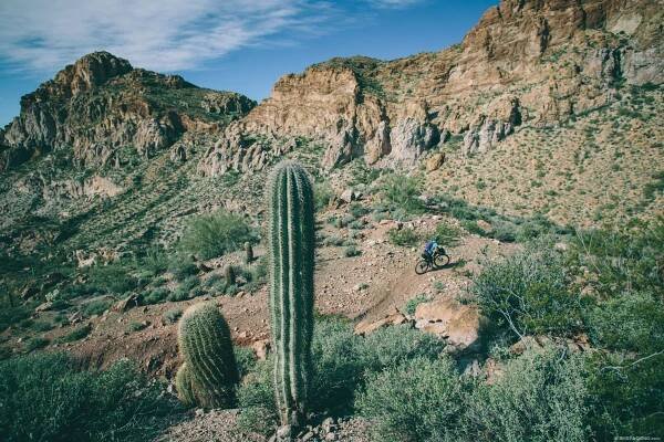 Gila River Ramble, Bikepacking Arizona
