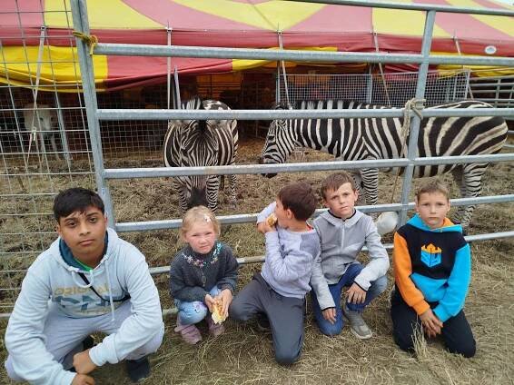 Cirkus HUMBERTO 2025 – Dětský domov a Školní jídelna, Opava, Rybí trh 14, příspěvková organizace