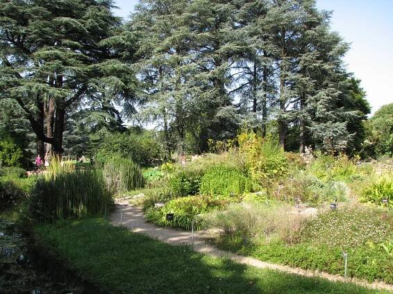 Jardin botanique de Lyon