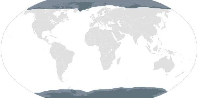 Klimatické pásma a oblasti Země - charakteristika a klimatická mapa světa