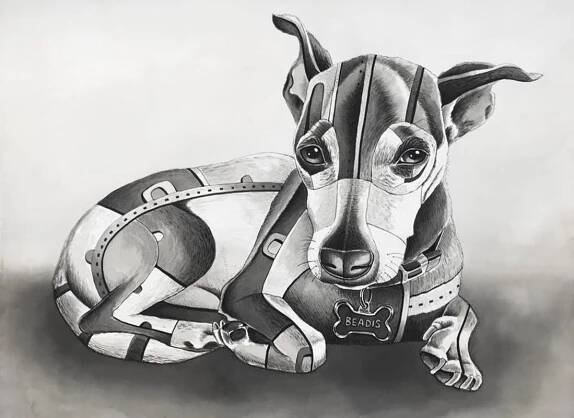 Pet Portraits - DAVID GILMORE STUDIO