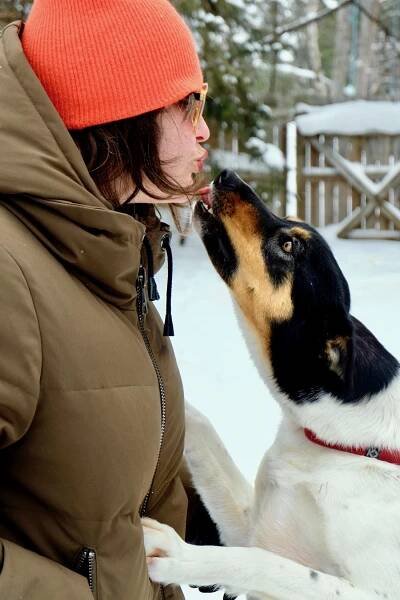Reasons to Love Minnesota No. 35: Chilly Dogs Sled Dog Trips
