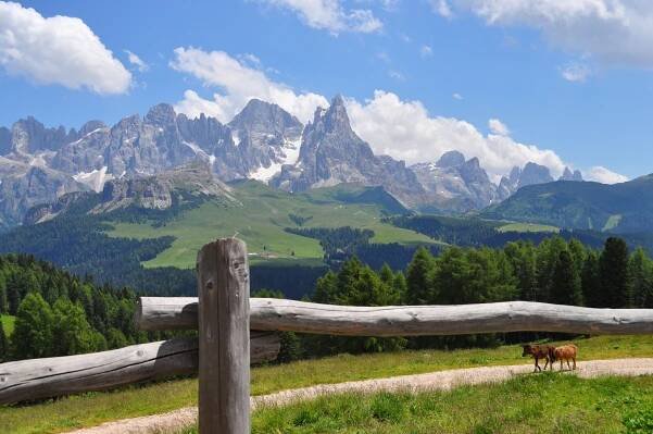 Val di Fiemme - Predazzo, Residence Kristall - APEX TOUR s.r.o. 