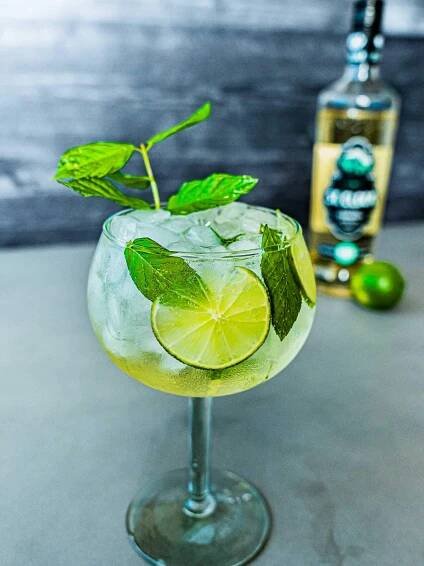 Umamiology-Hugo-Spritz-Recipe-BeautyShot10
