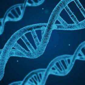 Upravený CRISPR nemění DNA, ale léčí nemoci
