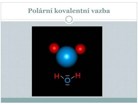 PPT - Chemická stavba buněk PowerPoint Presentation, free download - ID:3931387