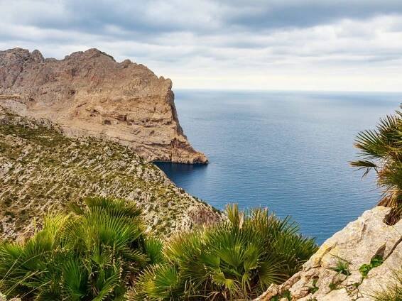 Mallorca | CK CestoMilové