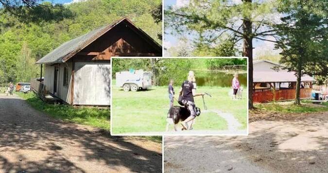 Útok psa na dítě (3) v sázavském kempu: Zvíře holčičce odtrhlo tvář, tvrdí svědkyně!