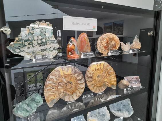 Lepší než Národní muzeum. Návštěvníci obdivují brazilské ametysty i zub mamuta