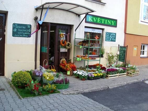Květiny, květinářství Březová nad Svitavou Úvod